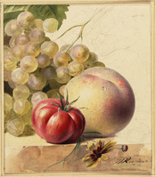 BB 045
<br/>
Fruitstilleven op marmeren blad
<br/>
<em>Reekers, Hendrik (1815-1854)</em>